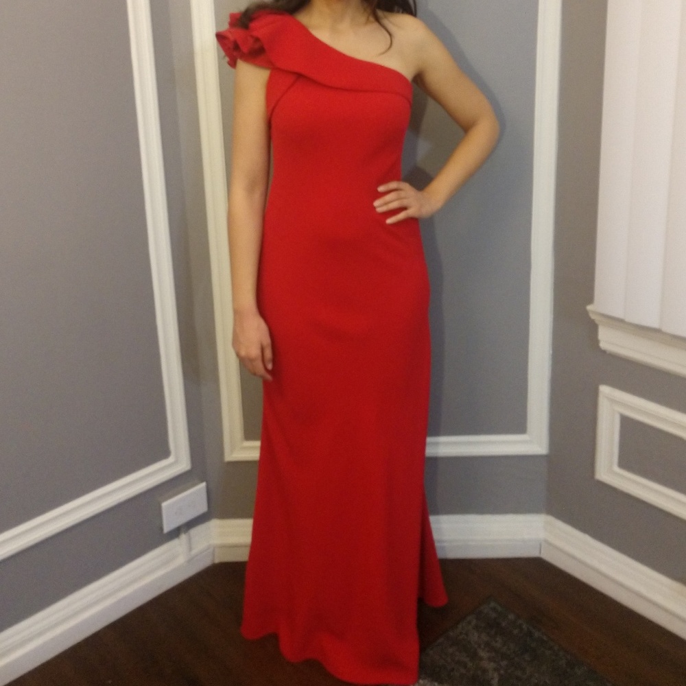 Carmen Marc Valvo dress